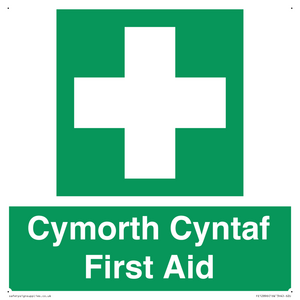 FE12896: Cymorth Cyntaf First Aid in Welsh