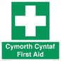 FE12896: Cymorth Cyntaf First Aid in Welsh