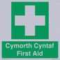 FE12896: Cymorth Cyntaf First Aid in Welsh