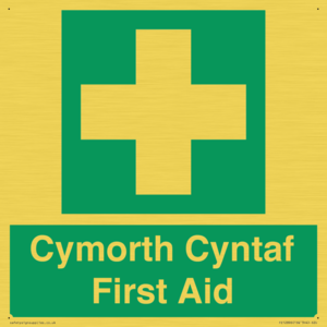 FE12896: Cymorth Cyntaf First Aid in Welsh