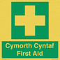 FE12896: Cymorth Cyntaf First Aid in Welsh