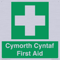 FE12896: Cymorth Cyntaf First Aid in Welsh