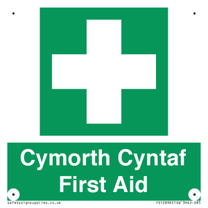 FE12896: Cymorth Cyntaf First Aid in Welsh