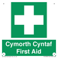 FE12896: Cymorth Cyntaf First Aid in Welsh