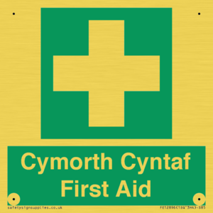 FE12896: Cymorth Cyntaf First Aid in Welsh