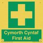 FE12896: Cymorth Cyntaf First Aid in Welsh