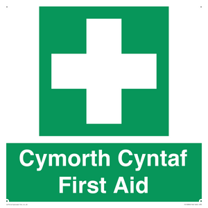 FE12896: Cymorth Cyntaf First Aid in Welsh