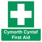 FE12896: Cymorth Cyntaf First Aid in Welsh