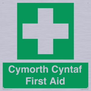 FE12896: Cymorth Cyntaf First Aid in Welsh
