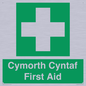 FE12896: Cymorth Cyntaf First Aid in Welsh