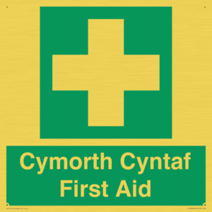 FE12896: Cymorth Cyntaf First Aid in Welsh