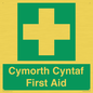 FE12896: Cymorth Cyntaf First Aid in Welsh