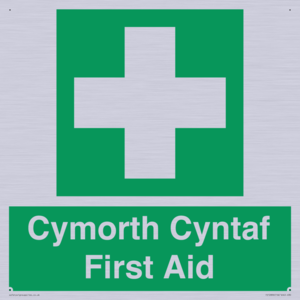FE12896: Cymorth Cyntaf First Aid in Welsh