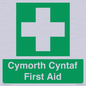 FE12896: Cymorth Cyntaf First Aid in Welsh
