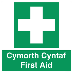 FE12896: Cymorth Cyntaf First Aid in Welsh