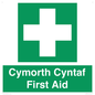 FE12896: Cymorth Cyntaf First Aid in Welsh