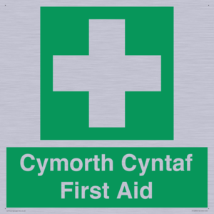 FE12896: Cymorth Cyntaf First Aid in Welsh