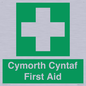FE12896: Cymorth Cyntaf First Aid in Welsh