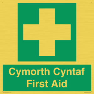 FE12896: Cymorth Cyntaf First Aid in Welsh