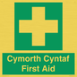 FE12896: Cymorth Cyntaf First Aid in Welsh