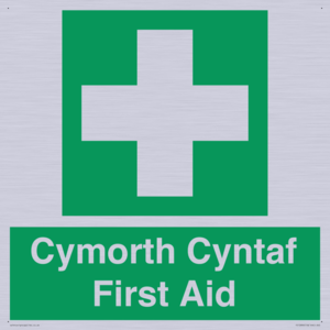 FE12896: Cymorth Cyntaf First Aid in Welsh