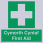 FE12896: Cymorth Cyntaf First Aid in Welsh