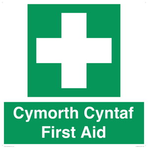 FE12896: Cymorth Cyntaf First Aid in Welsh