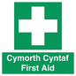 FE12896: Cymorth Cyntaf First Aid in Welsh