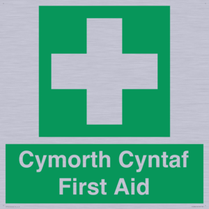 FE12896: Cymorth Cyntaf First Aid in Welsh