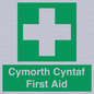 FE12896: Cymorth Cyntaf First Aid in Welsh