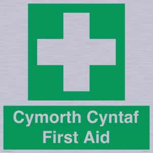 FE12896: Cymorth Cyntaf First Aid in Welsh