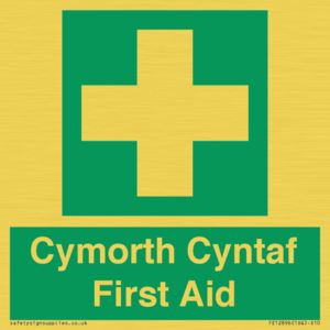 FE12896: Cymorth Cyntaf First Aid in Welsh