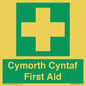 FE12896: Cymorth Cyntaf First Aid in Welsh