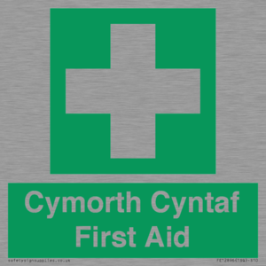 FE12896: Cymorth Cyntaf First Aid in Welsh