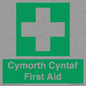 FE12896: Cymorth Cyntaf First Aid in Welsh