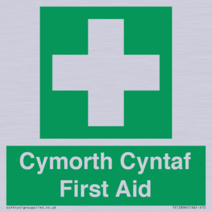 FE12896: Cymorth Cyntaf First Aid in Welsh
