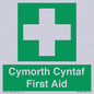 FE12896: Cymorth Cyntaf First Aid in Welsh