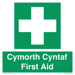FE12896: Cymorth Cyntaf First Aid in Welsh