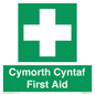 FE12896: Cymorth Cyntaf First Aid in Welsh