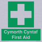 FE12896: Cymorth Cyntaf First Aid in Welsh