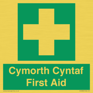 FE12896: Cymorth Cyntaf First Aid in Welsh