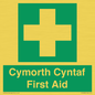 FE12896: Cymorth Cyntaf First Aid in Welsh