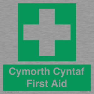FE12896: Cymorth Cyntaf First Aid in Welsh
