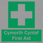 FE12896: Cymorth Cyntaf First Aid in Welsh