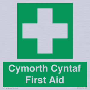 FE12896: Cymorth Cyntaf First Aid in Welsh
