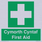 FE12896: Cymorth Cyntaf First Aid in Welsh