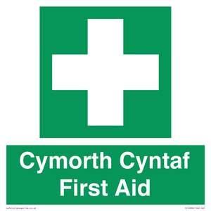 FE12896: Cymorth Cyntaf First Aid in Welsh