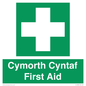 FE12896: Cymorth Cyntaf First Aid in Welsh