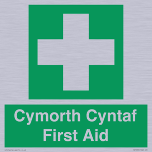 FE12896: Cymorth Cyntaf First Aid in Welsh