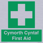 FE12896: Cymorth Cyntaf First Aid in Welsh